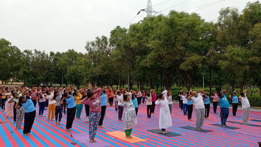 ಪಶುವಿನಿಂದ ಪಶುಪತಿಯೆಡೆಗಿನ ಪಯಣವೇ ಯೋಗ