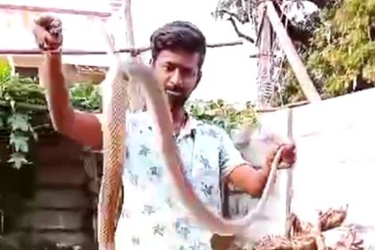 ಕಲಬುರ್ಗಿ ನಗರದಲ್ಲಿ ಎಲ್ಲಾದರೂ ಹಾವು ಕಂಡುಬಂದರೆ ಈ ನಂಬರಿಗೆ ಸಂಪರ್ಕಿಸಿರಿ